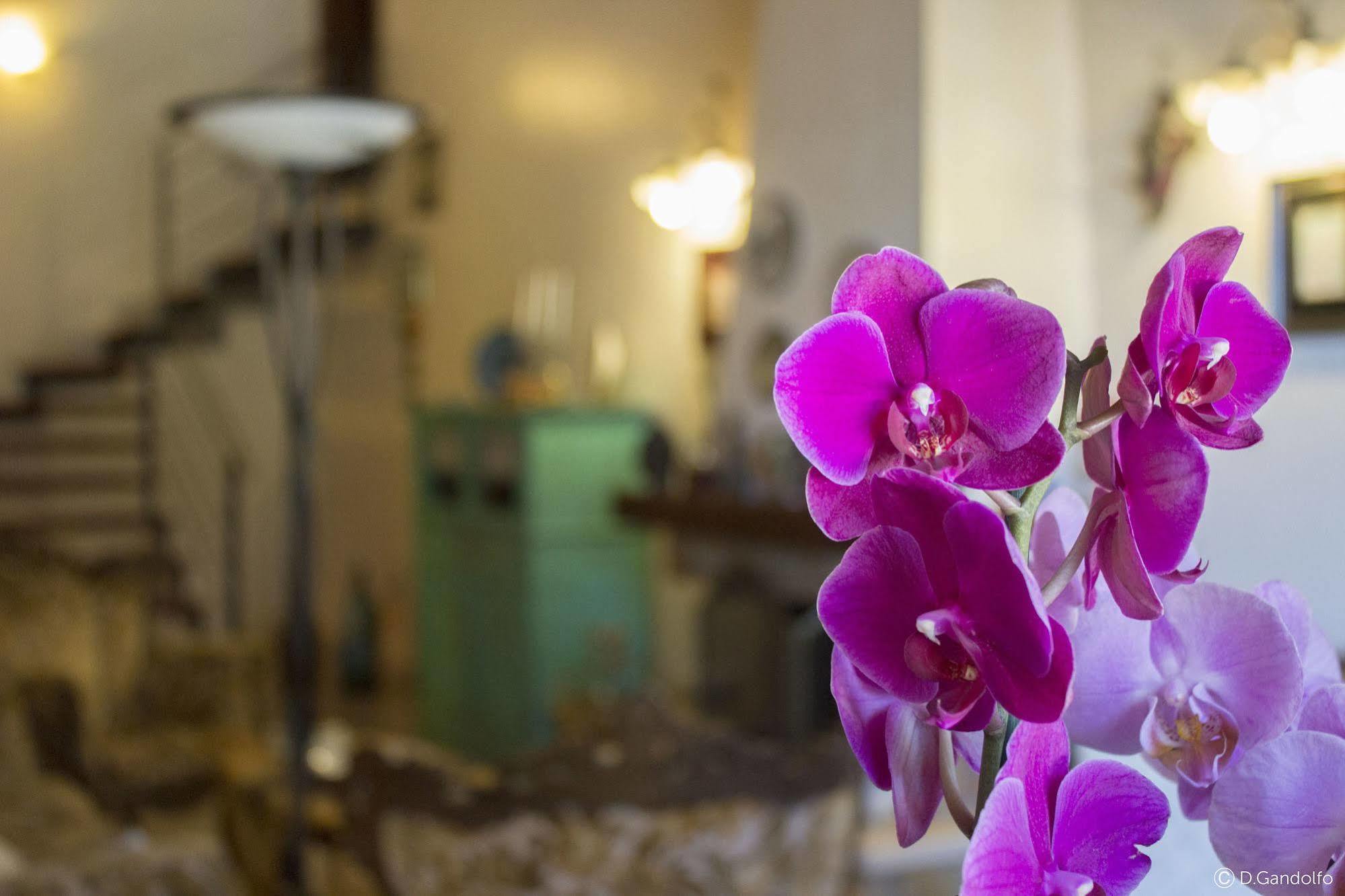 Villa Gagliardetta Кастеламаре дел Голфо Екстериор снимка